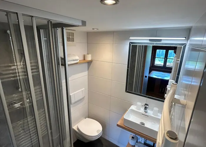 Appartement Blashof Seit 1693 - Schladming