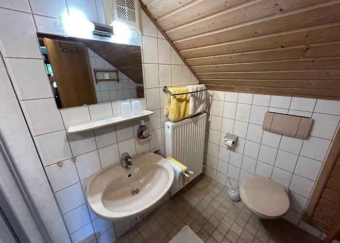 Blashof Seit 1693 - Appartement Schladming